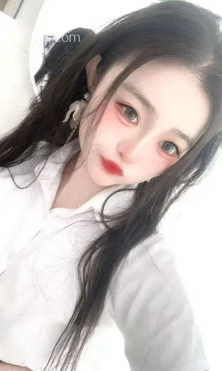 全国免费楼凤资源