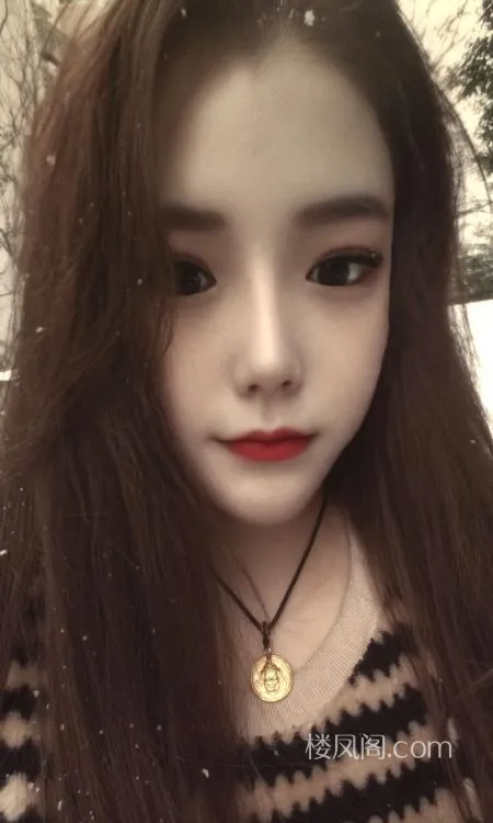 全国免费楼凤资源