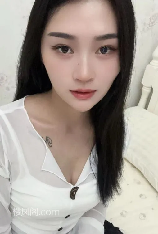 全国免费楼凤资源