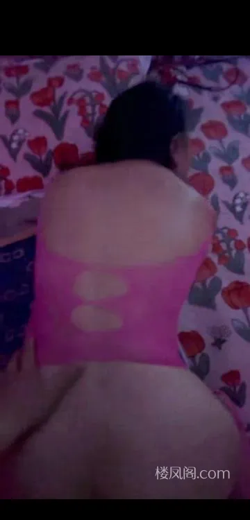 全国免费楼凤资源