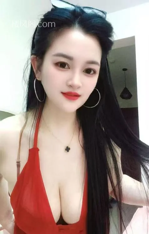 全国免费楼凤资源