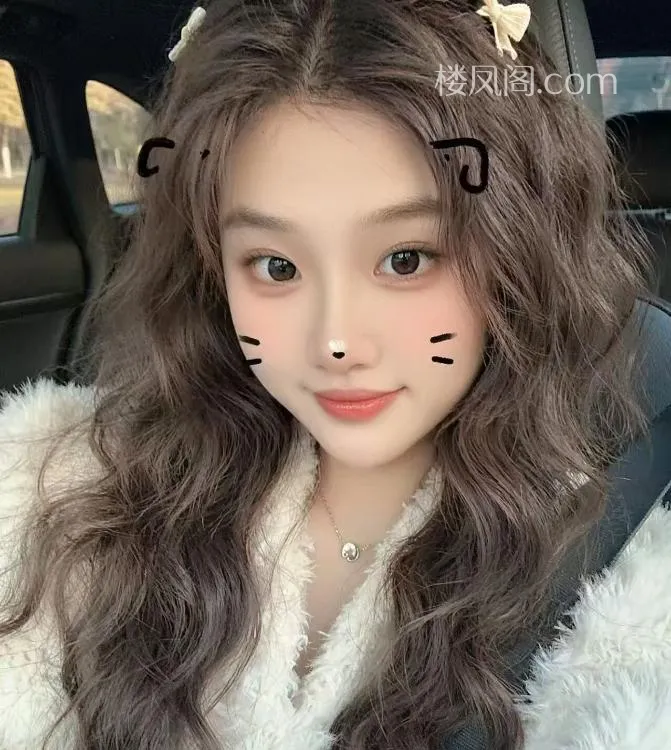 全国免费楼凤资源