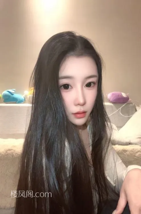 全国免费楼凤资源