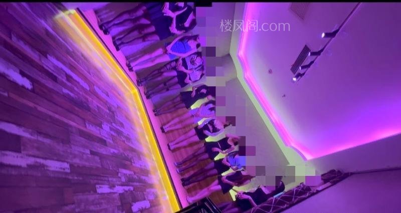 全国免费楼凤资源