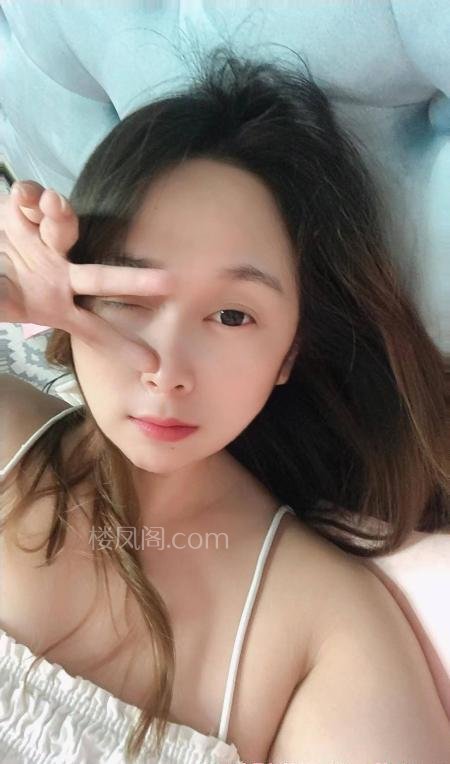 全国免费楼凤资源