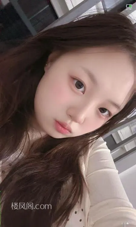 全国免费楼凤资源