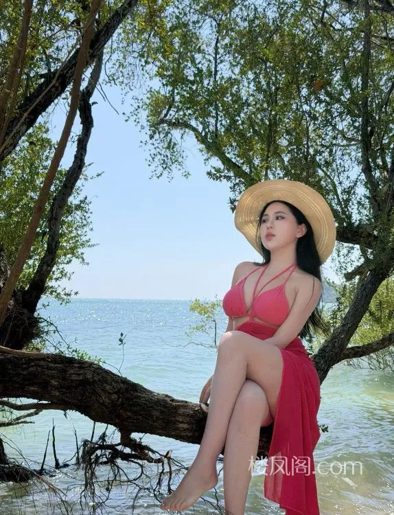 全国免费楼凤资源