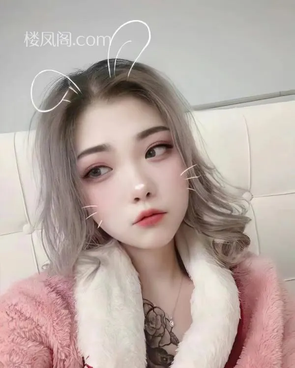 全国免费楼凤资源