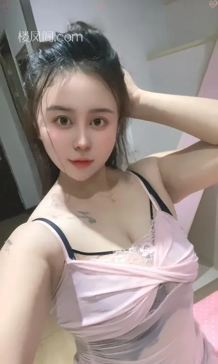 全国免费楼凤资源