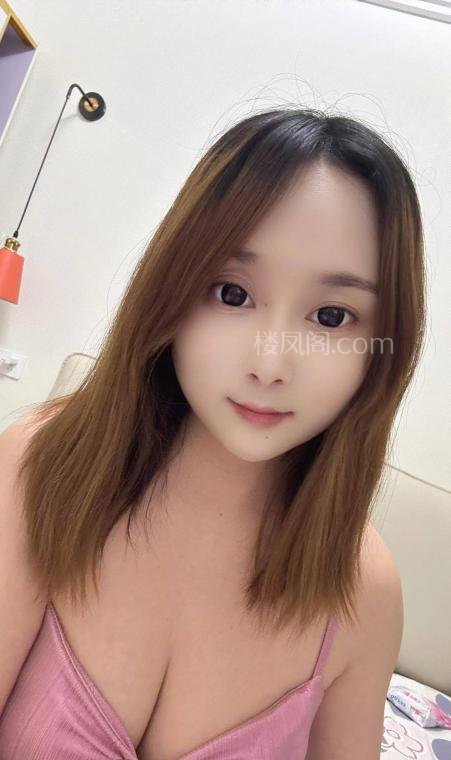 全国免费楼凤资源