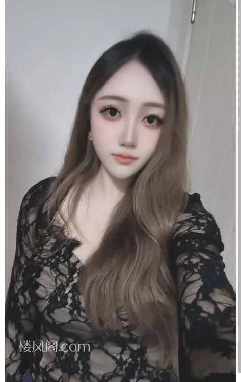 全国免费楼凤资源