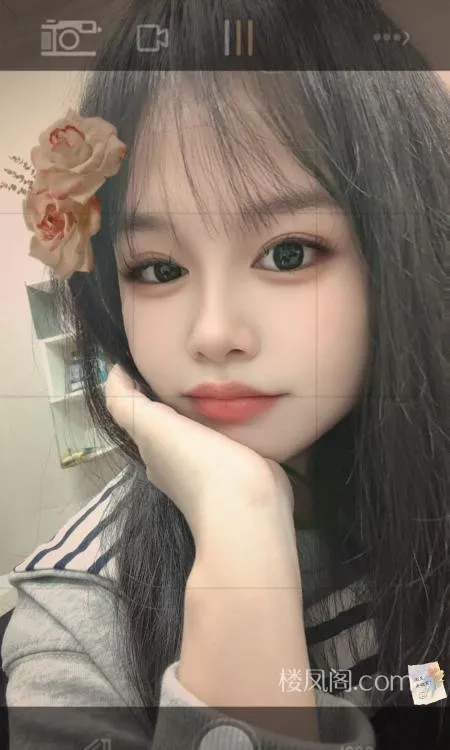 全国免费楼凤资源