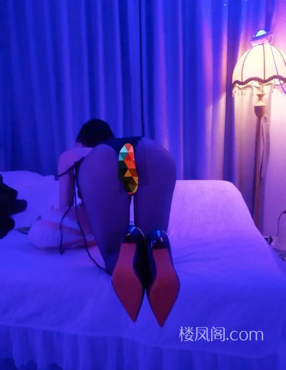 全国免费楼凤资源