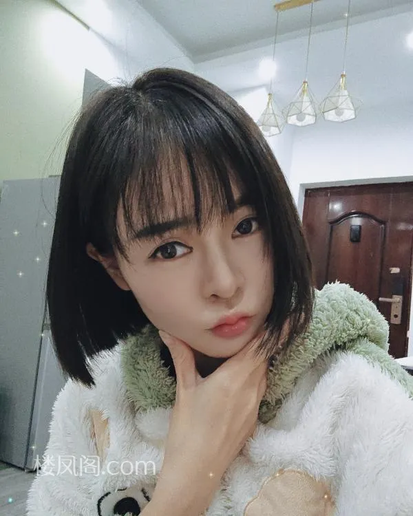 全国免费楼凤资源