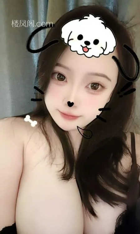 全国免费楼凤资源