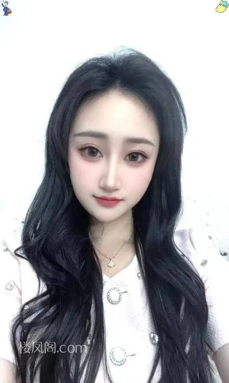 全国免费楼凤资源