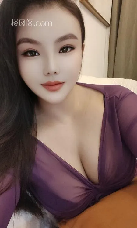 全国免费楼凤资源