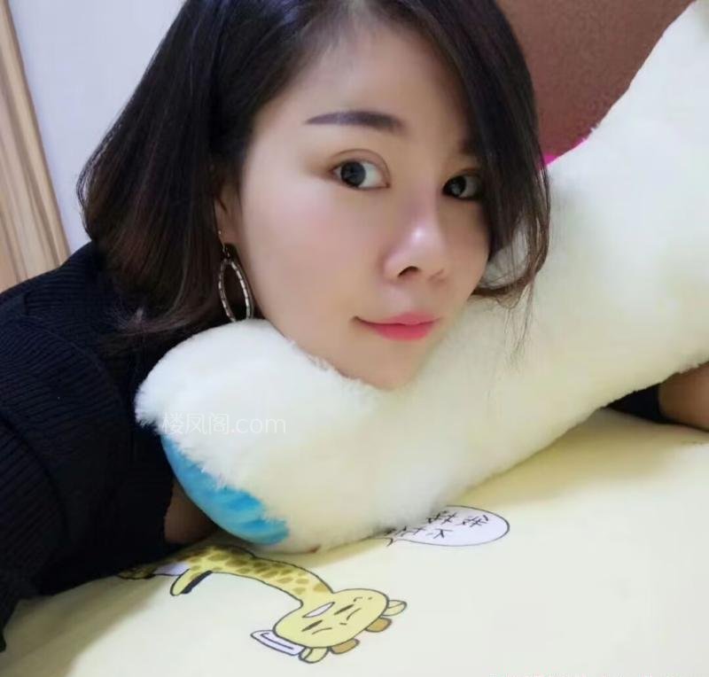 全国免费楼凤资源