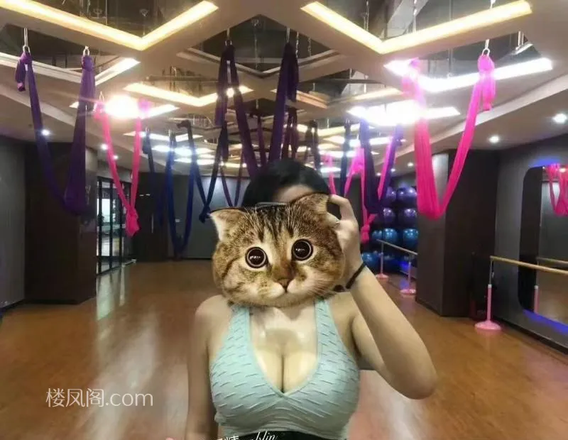 全国免费楼凤资源