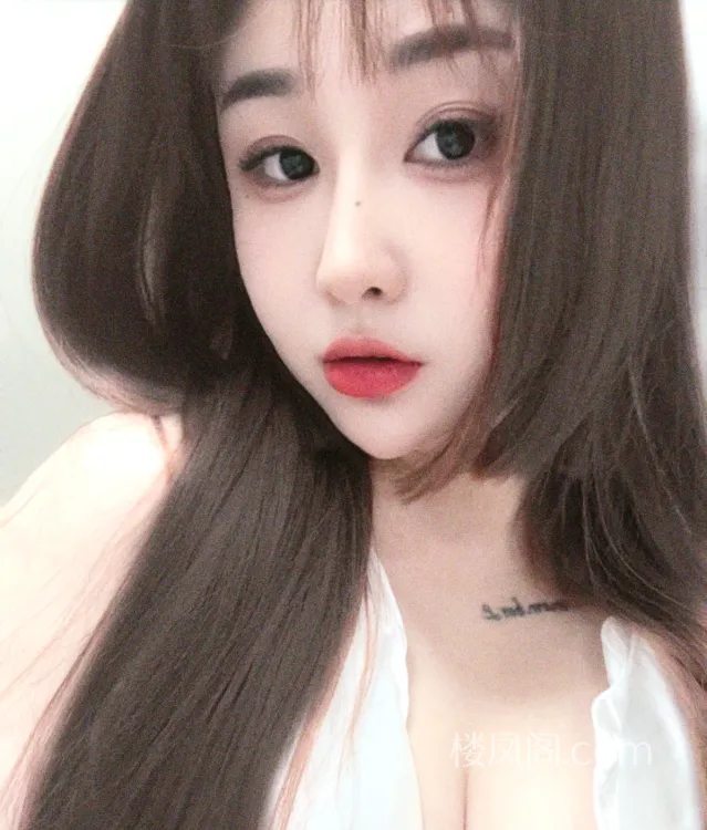 全国免费楼凤资源