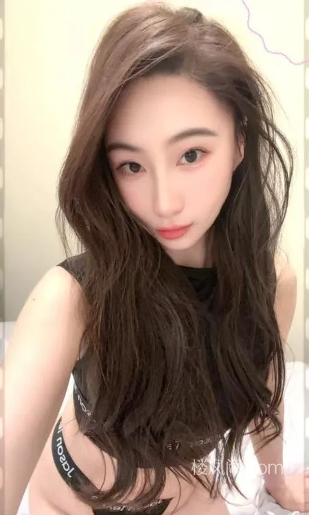 全国免费楼凤资源