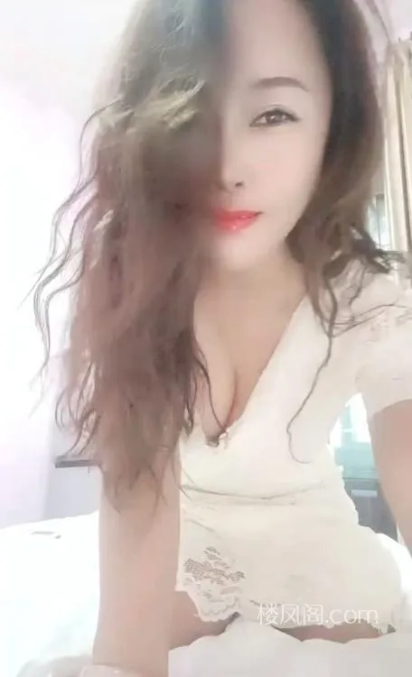 全国免费楼凤资源