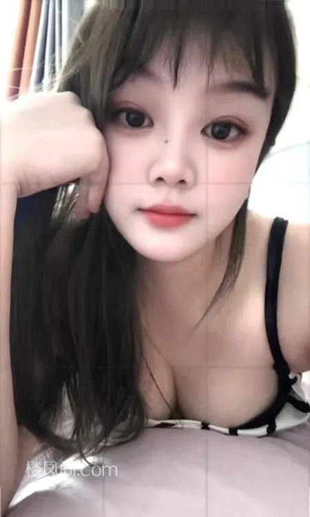 全国免费楼凤资源