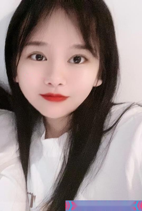 全国免费楼凤资源