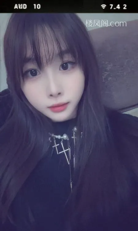 全国免费楼凤资源