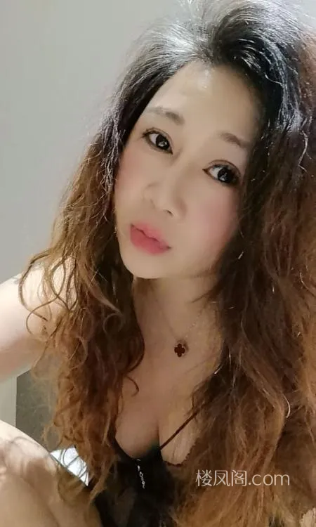 全国免费楼凤资源