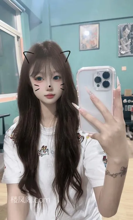 全国免费楼凤资源