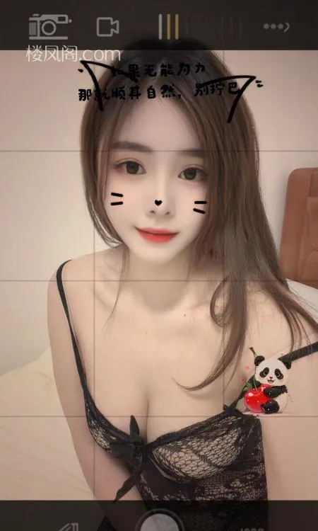 全国免费楼凤资源