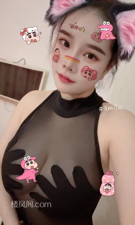 全国免费楼凤资源