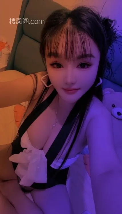 全国免费楼凤资源