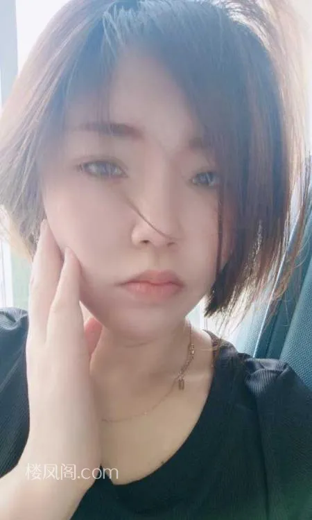 全国免费楼凤资源