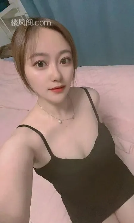 全国免费楼凤资源