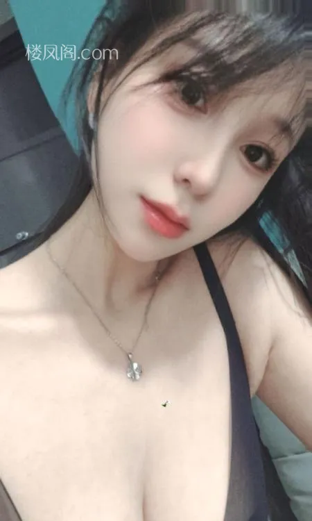 全国免费楼凤资源