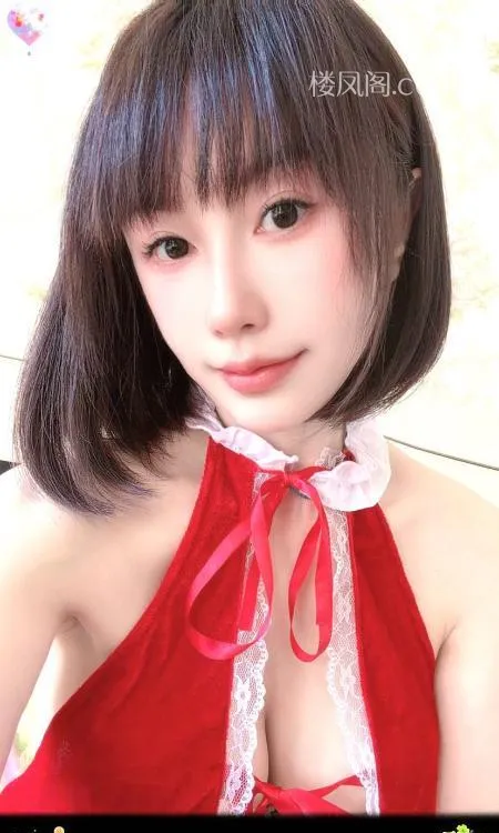 全国免费楼凤资源