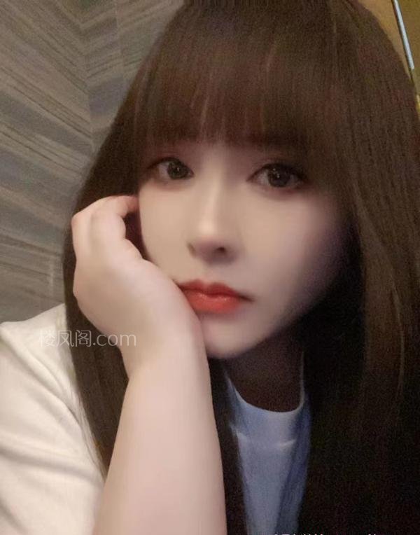 全国免费楼凤资源