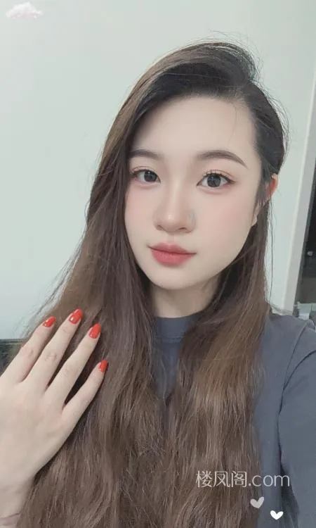 全国免费楼凤资源