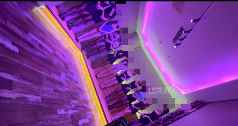 全国免费楼凤资源