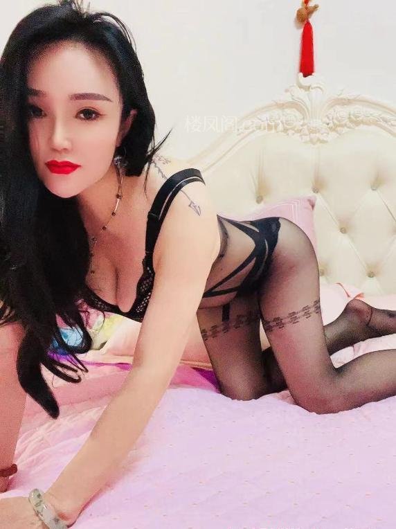 全国免费楼凤资源