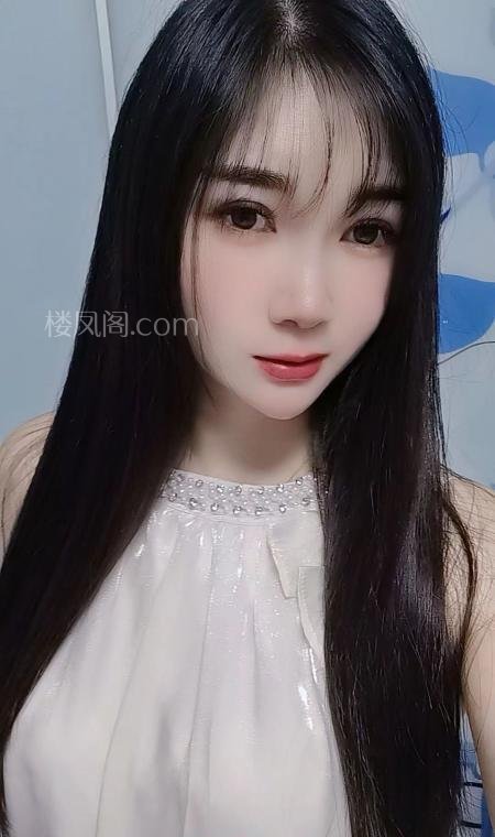 全国免费楼凤资源