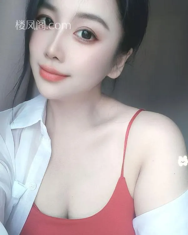 全国免费楼凤资源