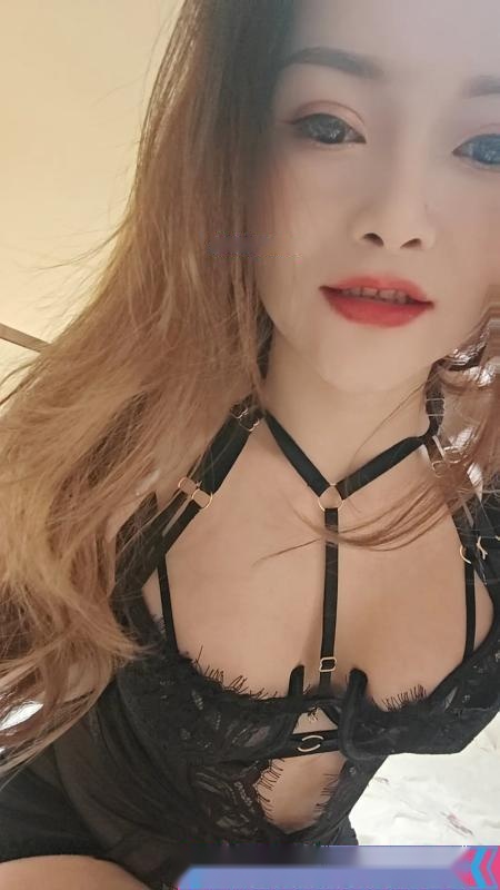 全国免费楼凤资源