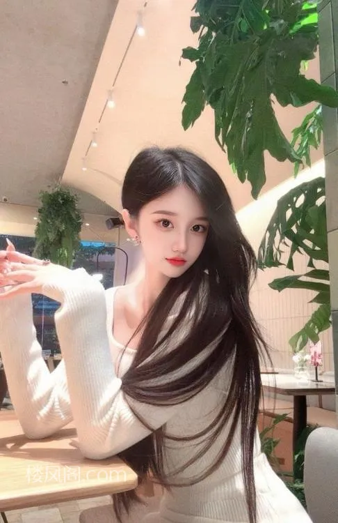 全国免费楼凤资源