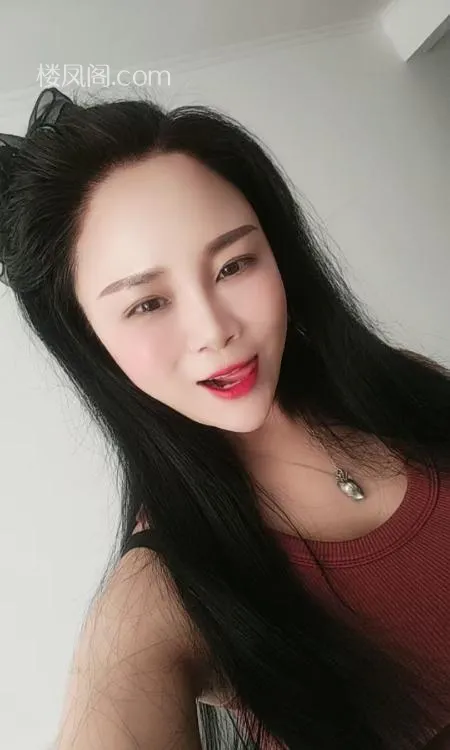 全国免费楼凤资源