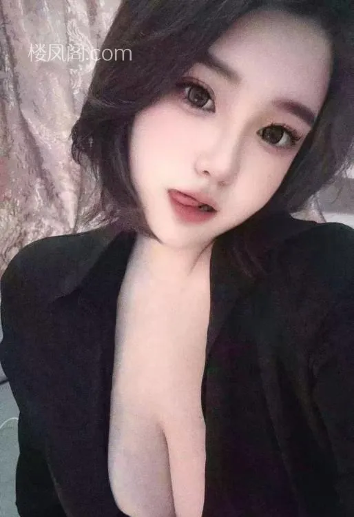 全国免费楼凤资源