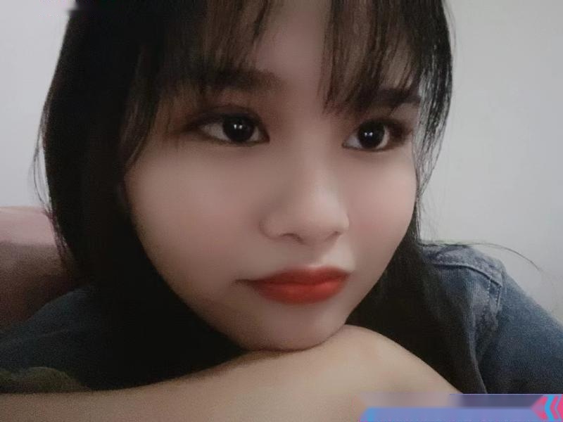 全国免费楼凤资源