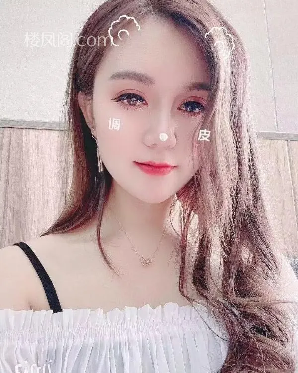 全国免费楼凤资源